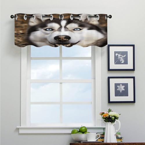 Cortinas opacas Stupid Husky de alta calidad con bolsillo para ventanas de baño 5