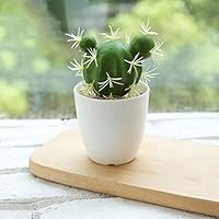 Amazon｜HGJH 多肉植物 フェイクグリーン 人工観葉植物 ミニ