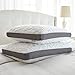 Perfect Cloud Double Airflow Ventilated Memory Foam Bed Pillow for Sleeping - 5.5-inch Breathable Cooling Medium-Loft (Standard)