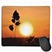 Produktbild Whecom Sunset Plant Landscape Non-Slip Unique Designs Gaming Gaming Mauspad Black Cloth Rectangle Mousepad Art Natural Rubber Mouse Mat with Stitched Edges 9.8x11.8 Inch