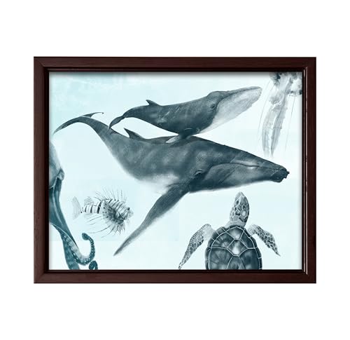 Monem Art Hand Drawn Ocean Animal Sketch Print - Underwater