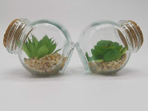 Planta Mini Suculentas Artificiais Potinho De Vidro - Unidade