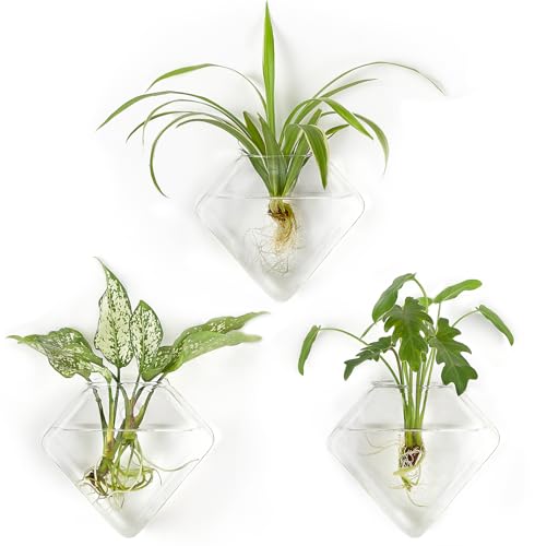 Mkono Wall Planter Hanging Propagation Stations Flower Vase Glass Pots