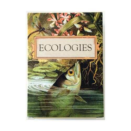 Montrose Biology Ecologies Card Game - Use Science to Build