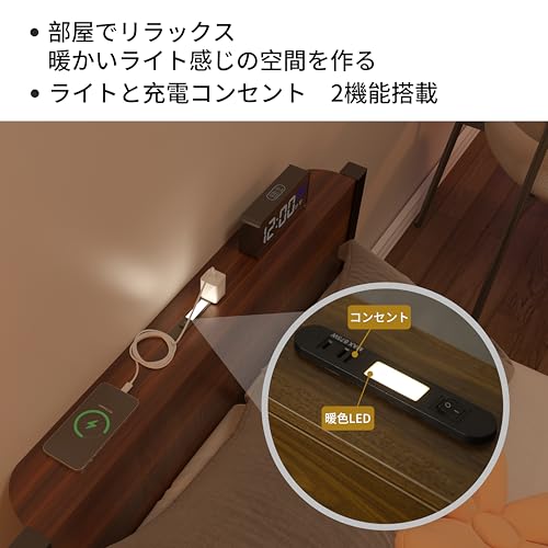 LunarLight スチールパイプベッド ベッドフレーム PB-S-DBR の商品画像 3