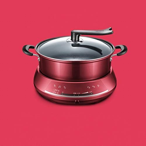 Olla Eléctrica Multifunción PNAWLLCF 4.5L 300W miniatura 5