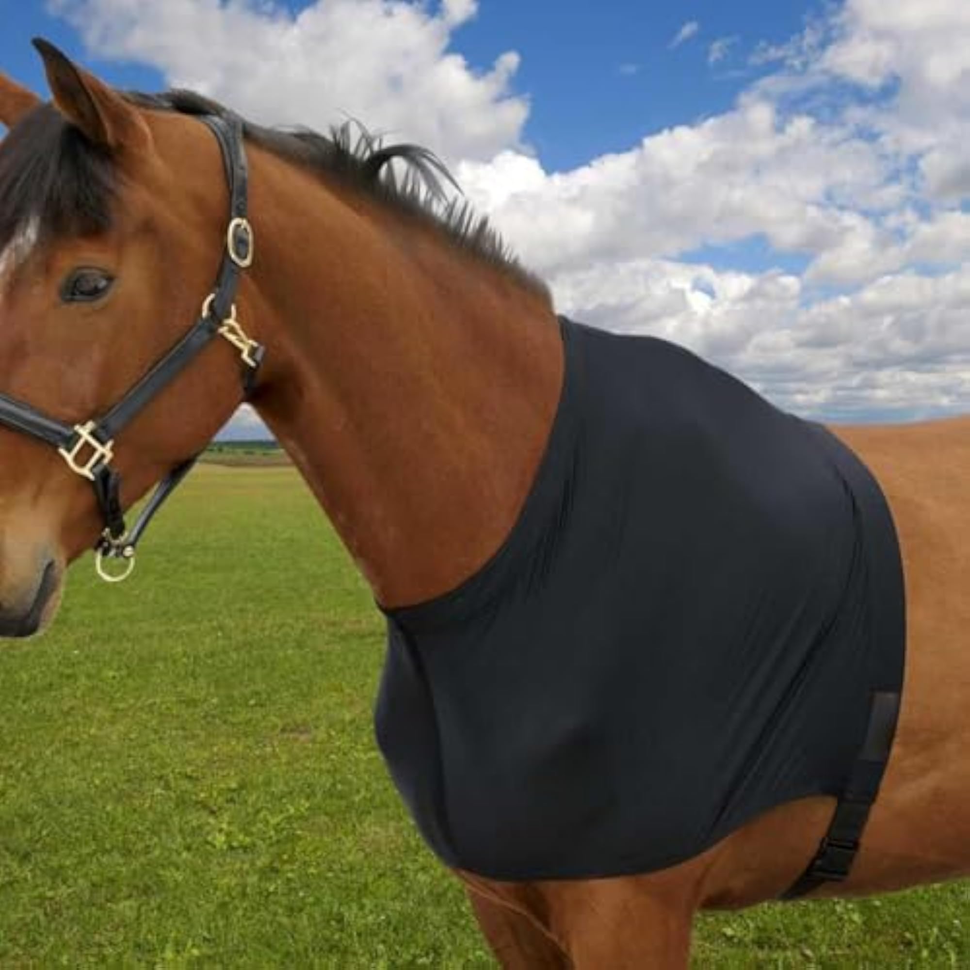 Horse Shoulder Guard Protector in Spandex Fabric