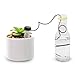 Henoda 15PCS Self-Watering Probes - Indoor Automatic Watering System Houseplant Spikes for Plant