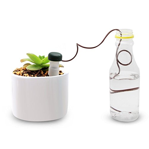 Henoda 15PCS Self-Watering Probes - Indoor Automatic Watering System Houseplant Spikes for Plant