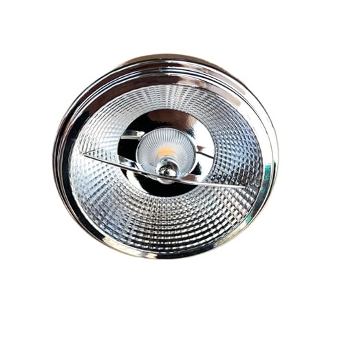 KAKAK Lot de 2 ampoules LED à intensité variable 15 W AR111 en aluminium for projecteur G53 GU10 pour maison, garage, entrepôt(Warm White,G53)