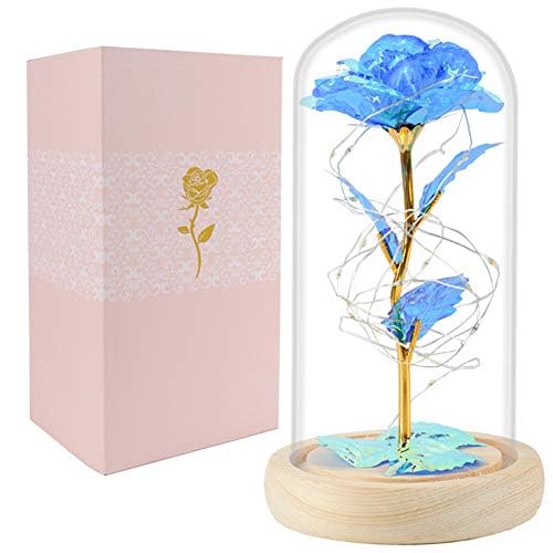 Valentines Day Rose Gifts for Her, Galaxy Glass Rose Forever Preserved Flowers for Delivery Prime Light Up Rose in Glass Dome Birthday Valentine's Day Gifts for Women Mom Girlfriend Wife Daughter Blue