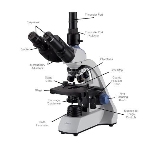 AmScope Exceptional Bundle Savings! 40X-2500X LED Trinocular Compound Microscope with 3D Two-Layer Mechanical Stage, 5MP Digital Camera and Vital Stain Kit for Living Cells