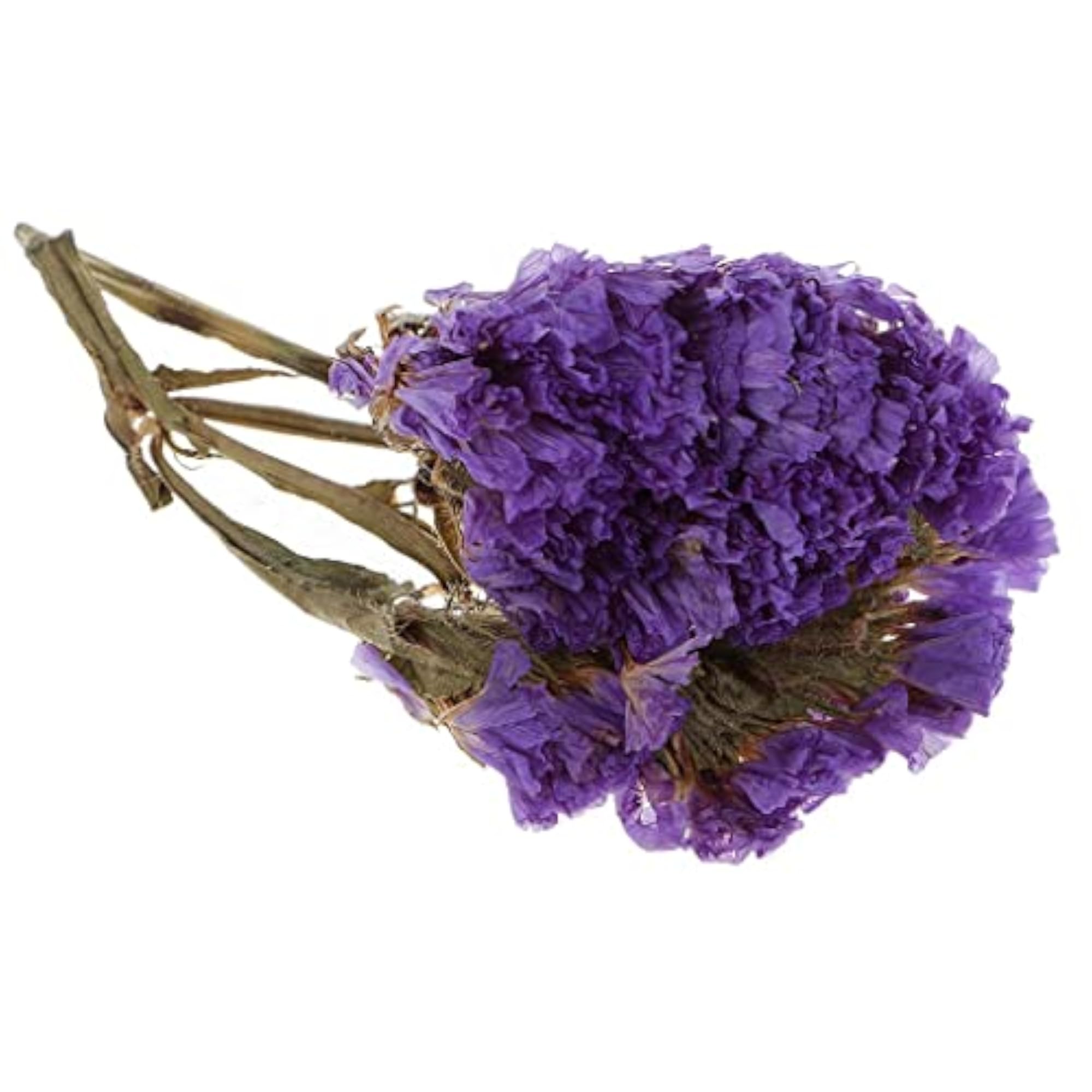 Natural Dried Flowers for Candle Making, Forget-me-not