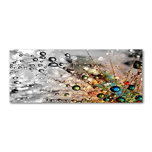 Tulup Impression sur Verre 125x50 cm Image Tableau Photo décorative panoramique pour la Cuisine et Le Salon - Fleurs et Plantes - Graines De Pissenlit -...