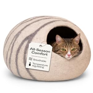 Cat Cave Premium