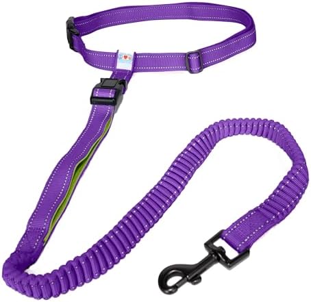 PAWTITAS 1.8 M Reflective Dog Lead Comfortable Padded Handle | Puppy Dog Training Double Handle Reflective Lead | Reflective Short Dog Lead for Training | Hands Free Running Dog Lead - M/L Green Lead