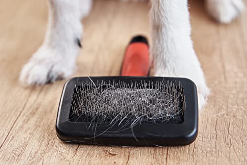 Lammfellbürste für Lammfelle und Schaffelle, Universal-Pflegebürste mit Softgriff, Hundebürste Langhaar, Fellbürste für Haustiere, Hunde Bürste und Katzenbürste Langhaar Kurzhaarbürste, schwarz/rot