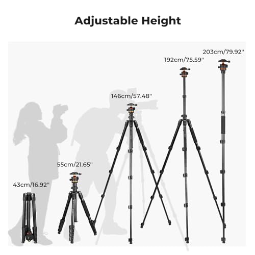 K&F CONCEPT 76" Camera Tripod with Ball Head, Travel Tripod and Monopod - image 6
