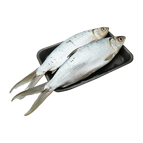 Defrosted Milk Fish Whole Cleaned 1 kg Approx.