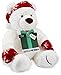 Amazon.com $150 Gift Card with a Holiday Teddy Bear - Limited Edition