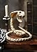 Crazy Bonez Skeleton Cobra