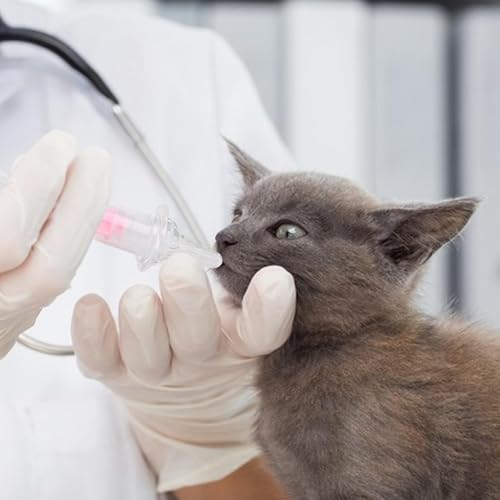 YNPQTDS 2 Stück Fütterungsspritze Futterspritze Für Hunde Wiederverwendbares Weiche Spitze Flasche Und Spritzen Für Kleine Katzen Und Hunde