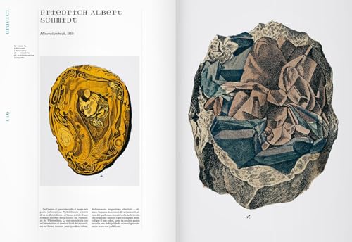 Mineralia. Ediz. Illustrata - 5