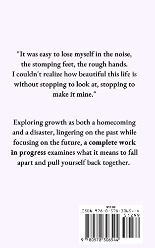 a complete work in progress - Image 2