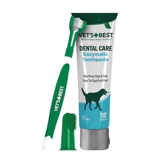 Vet’s Best Dog Toothbrush and Enzymatic Toothpaste Set | Teeth Cleaning and Fresh Breath Kit with Dental Care Guide | Vet Formulated