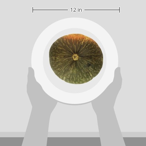 Organic Kabocha Squash