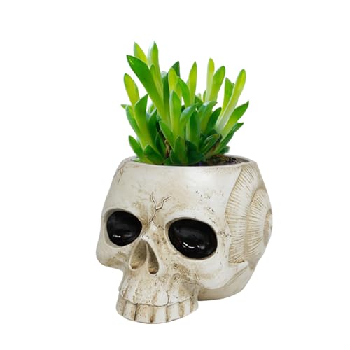 Watreketal Macetas de resina para Halloween, diseño de calavera, escultura de esqueleto, macetas de escritorio, macetas para suculentas para el hogar gótico