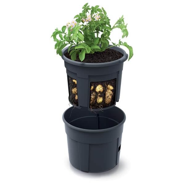 Gardening Naturally Potato Grow Pots Pack of 3 Grow Potatoes on Your Patio Ready to Pick in 8-10 Weeks