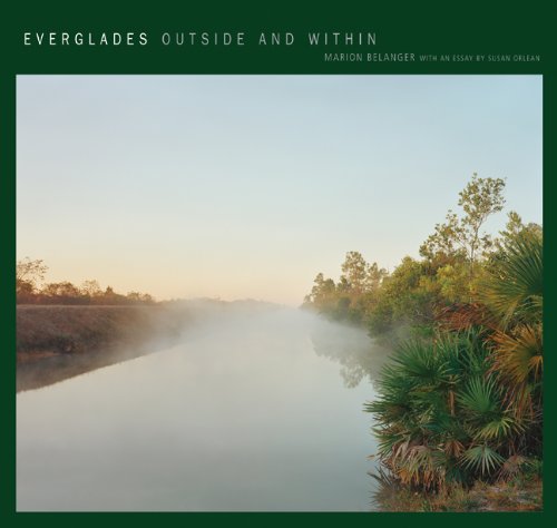 Everglades: Outside and within (Center Books on the American South Series)