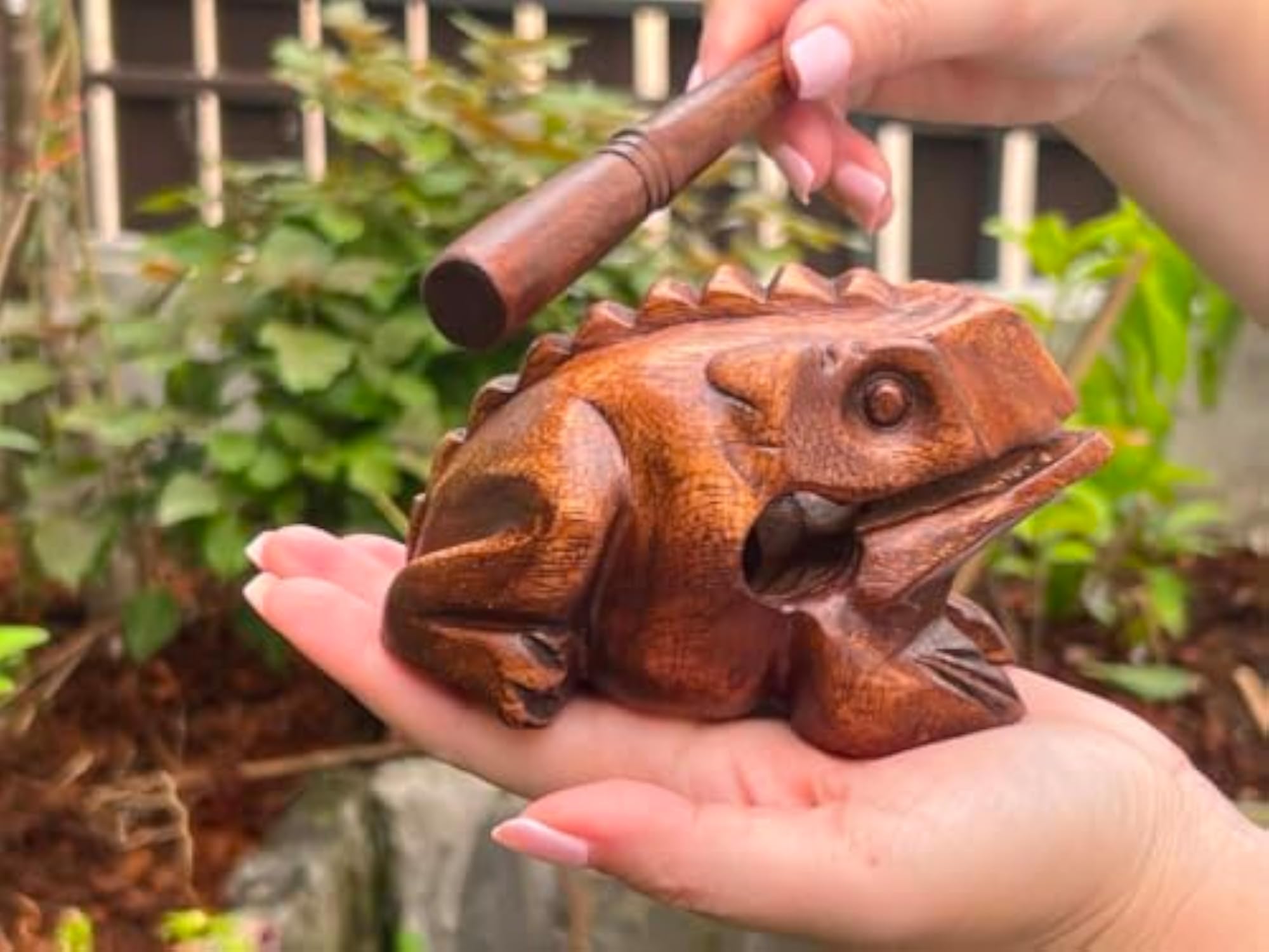 5 Inch Dark Brown Wooden Frog Guiro Instrument