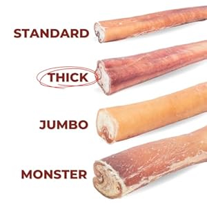 Bully-Bunches-Premium-12-Inch-Thick-Odor-Free-Bully-Sticks-for-Medium-Large-Dogs-Long-Lasting-Chews-for-Oral-Care-All-Natural-Single-Ingredient-100-Beef-Dog-Treat-Rawhide-Free-5-Pk - Cucciolini Doodles   Bully-Bunches-Premium-12-Inch-Thick-Odor-Free-Bully-Sticks-for-Medium-Large-Dogs-Long-Lasting-Chews-for-Oral-Care-All-Natural-Single-Ingredient-100-Beef-Dog-Treat-Rawhide-Free-5-Pk