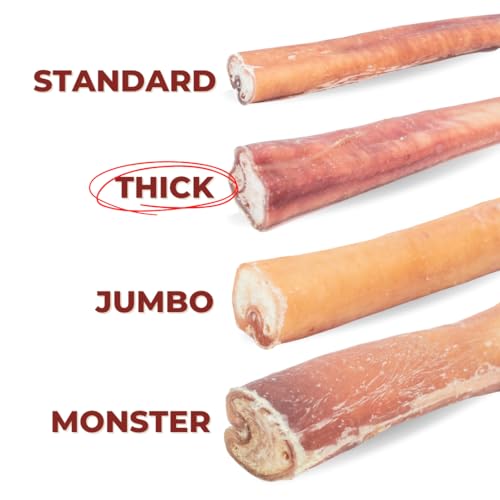 Bully-Bunches-Premium-12-Inch-Thick-Odor-Free-Bully-Sticks-for-Medium-Large-Dogs-Long-Lasting-Chews-for-Oral-Care-All-Natural-Single-Ingredient-100-Beef-Dog-Treat-Rawhide-Free-5-Pk - Cucciolini Doodles   Bully-Bunches-Premium-12-Inch-Thick-Odor-Free-Bully-Sticks-for-Medium-Large-Dogs-Long-Lasting-Chews-for-Oral-Care-All-Natural-Single-Ingredient-100-Beef-Dog-Treat-Rawhide-Free-5-Pk