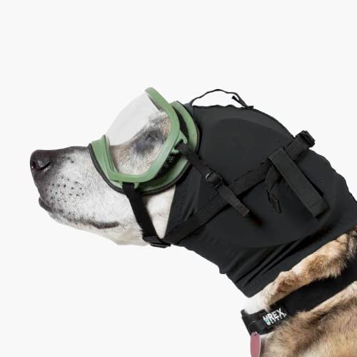 Image of Rex Specs Ear Pro | Noise Cancelling Ear Wraps for Dogs | Dog Ear Muffs Noise Protection (02, Black)