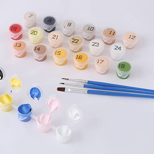 PNDGMCSY Dipingere con i Numeri Kit per Adulti