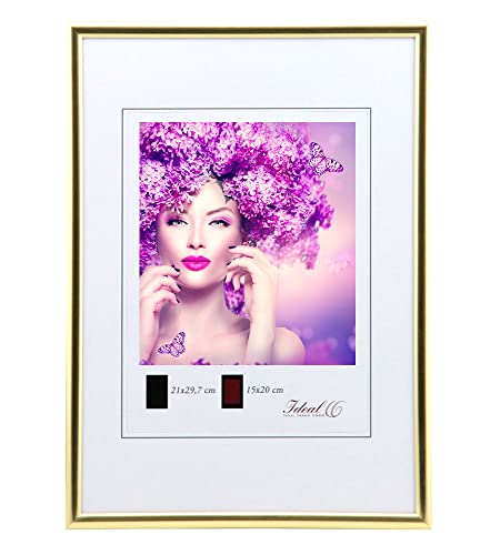 IDEAL TREND New Lifestyle Kunststoff Bilderrahmen Kunststoffrahmen Bildhalter Bildträger: Farbe: Gold | Format: 50x70