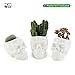 T4U Skull Succulent Planter Pots Set of 3, Gothic Caramic Planter, Creative Plant Lover Gifts for Christmas Birthday House Warming, Cactus Plant Pot Pen Pencil Holder for Home Office Decor, White