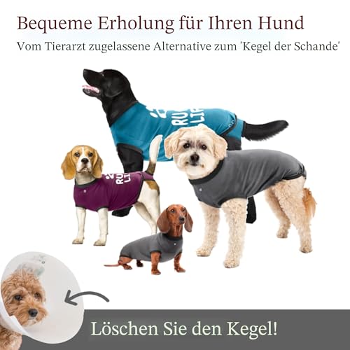BellyGuard hundebody nach op hündin, op Body Hund kastration rüde, leckschutz für Hunde nach op, Hunde Body Operation hündin