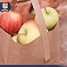 Medium 8 x 6.75 x 4.25 Inch Kraft Paper Bags with Paper Handles - Half Peck Apple/Produce Bag (50)