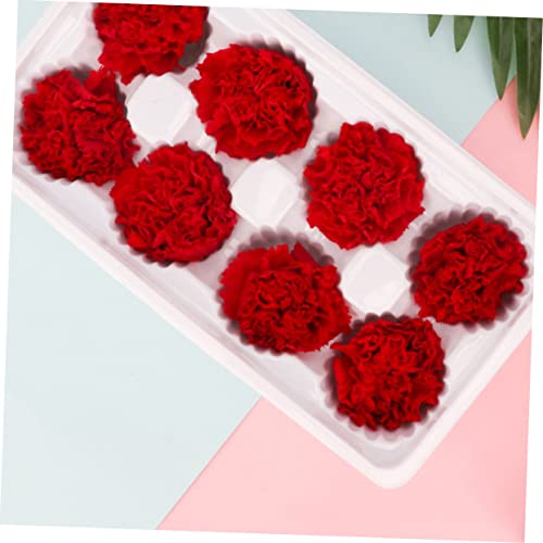 LIFKOME flores eternas secas para decoración miniatura 6