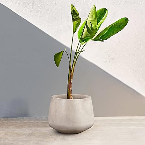 Armen Living Planter, Concrete, White, M Cover