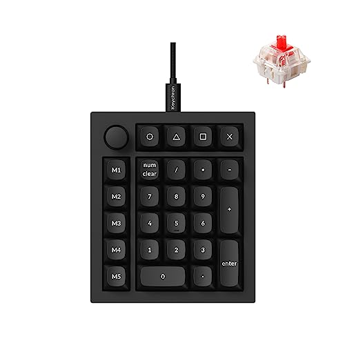 41iUwwSN-QL.jpg