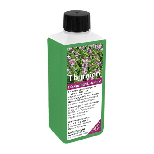 Thymian-Dünger - Thymus vulgaris, Quendel, Kuttelkraut...
