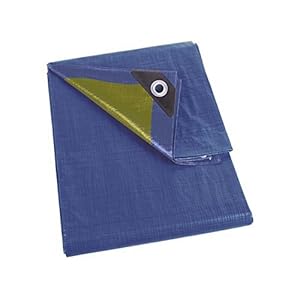 Perel Bâche, bâche imperméable, bache de Protection extérieur, hivernage, très résistante, 16 œillets, Angles renforcés, carré, Bleu/Vert, 110 g/m², 4 x 4 m
