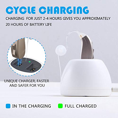 Sengdong Ezchage Ziv-202 Hearing Aids Amplifier With Noise Cancellation Rechargeable Hearing Aids For Seniors (1 Piece) #TOP2