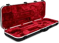 For IBANEZ RG6, RG7, RGA6, RGA7, RGD6, S6, S7, SA6 (except left handed models) ABS moulded case Lockable for security Soft hair Leather firmly hold your instrument