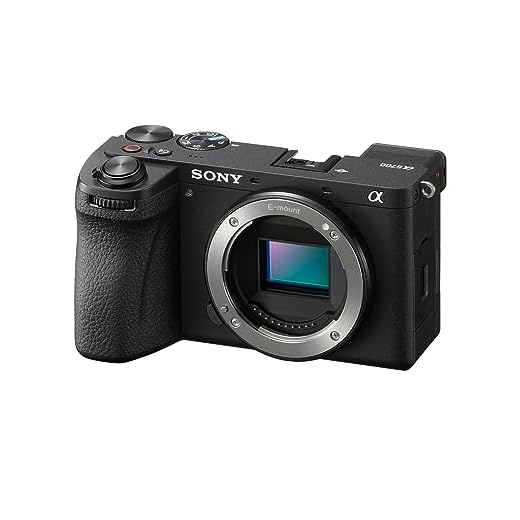 Sony Alpha 6700 Mirrorless Camera Body